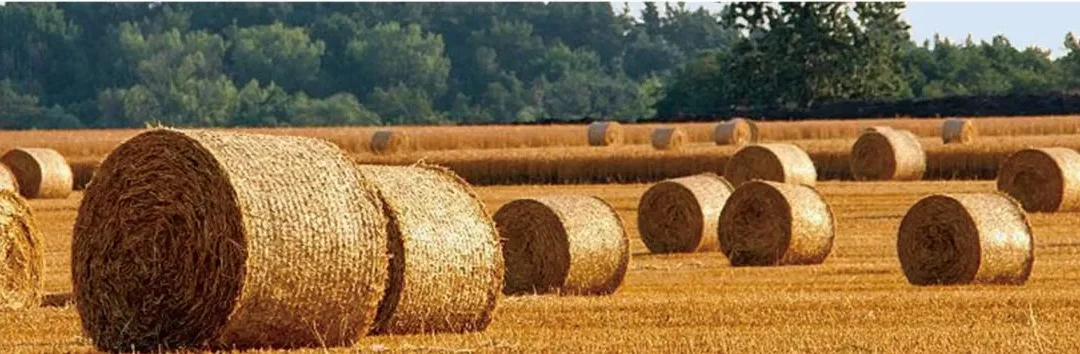 Was ist eine Silageballenpresse und wie funktioniert sie?